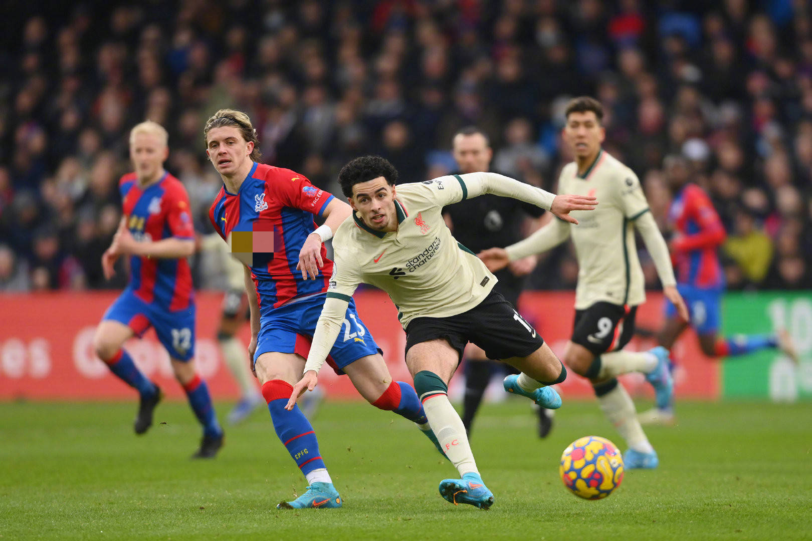 养效果似乎 养效果似乎